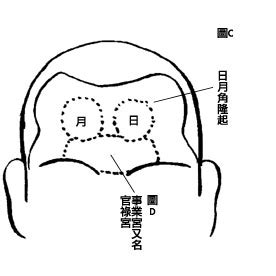 額闊